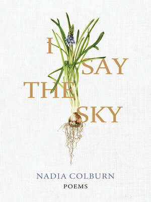 cover image of I Say the Sky